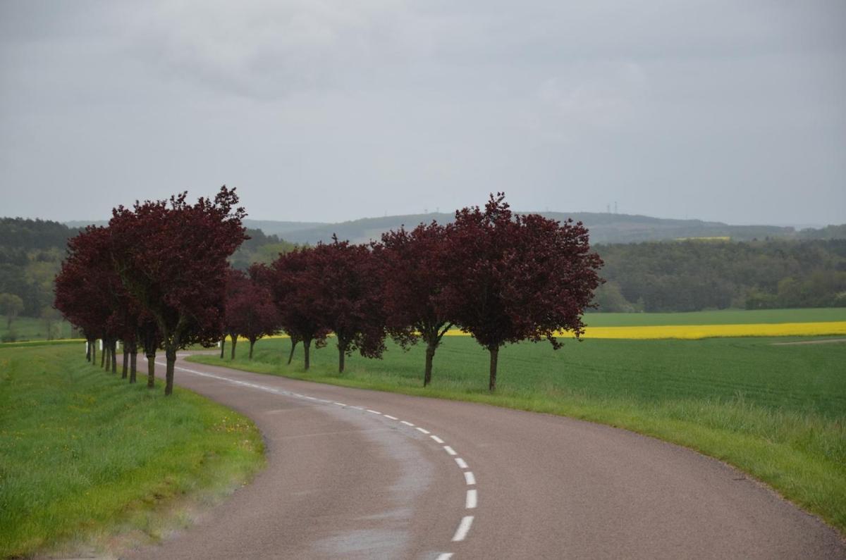 Chalet Bois Pleine Campagne A Pontigny Kültér fotó